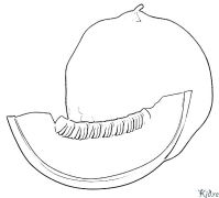 melon Coloring Pages To Print